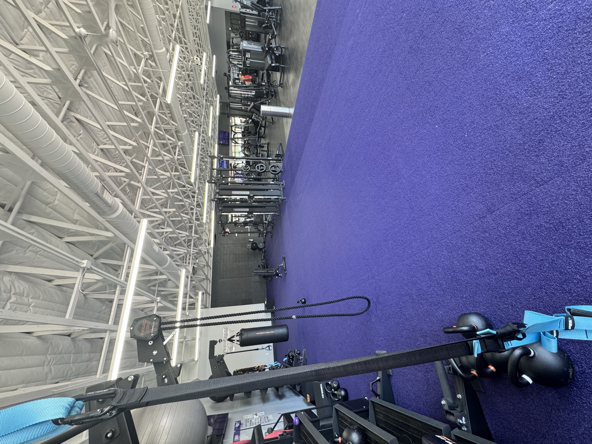 Wide view of the 1,200 sq ft purple turf functional zone with vaulted ceiling